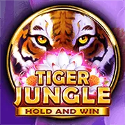 Chương Trình Hoàn Trả Hàng Ngày Hubet App