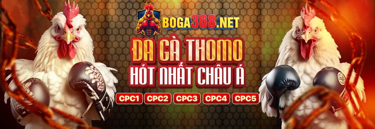 Đá gà trực tuyến sôi động tại hubet app